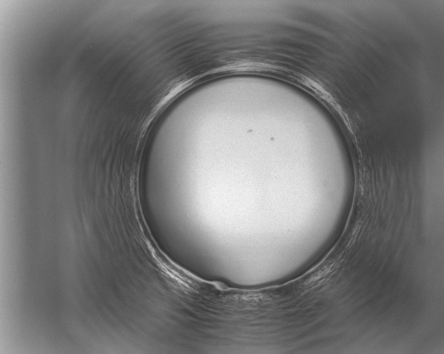 X0000057061425200510010055