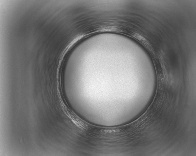 X0000057061427200510010055