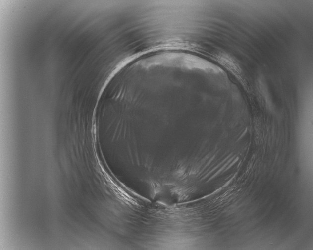 X0000057061428200510010055