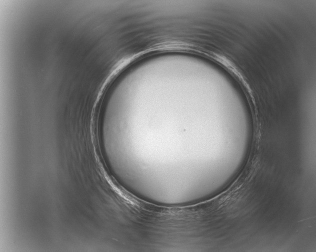 X0000057061429200510010055