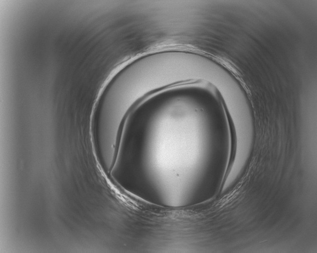 X0000057061430200510010056