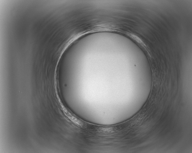 X0000057061431200510010056