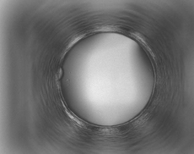 X0000057061433200510010056