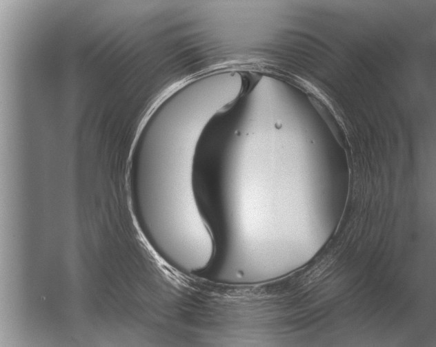 X0000057061434200510010056