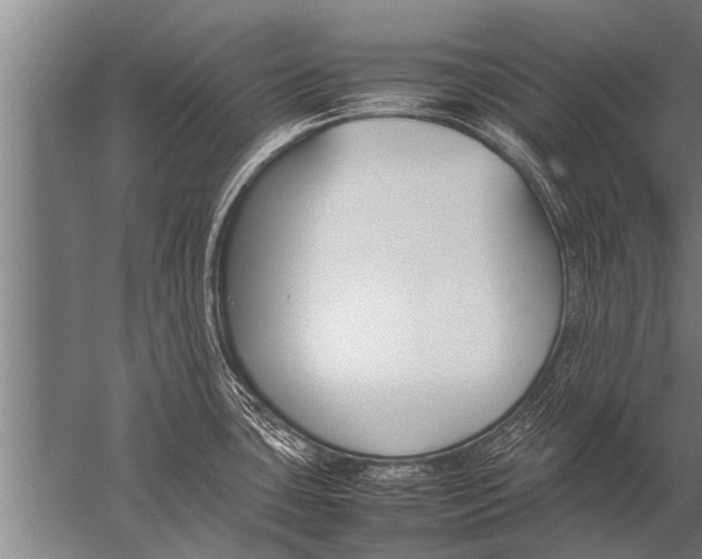 X0000057061435200510010056