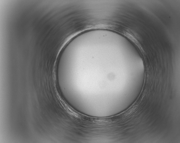 X0000057061436200510010056