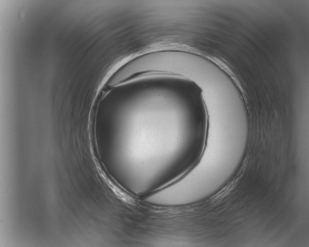 X0000057061438200510010056