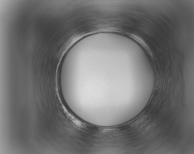 X0000057061439200510010056