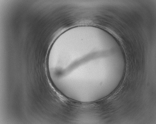 X0000057061440200510010056