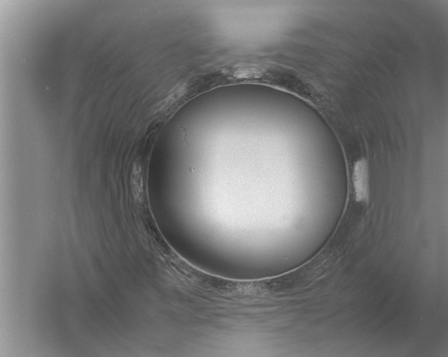 X0000057061443200510010055