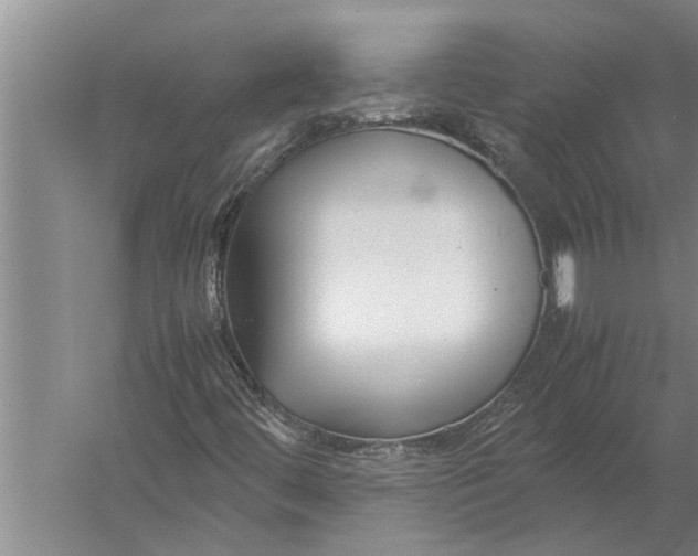 X0000057061444200510010055