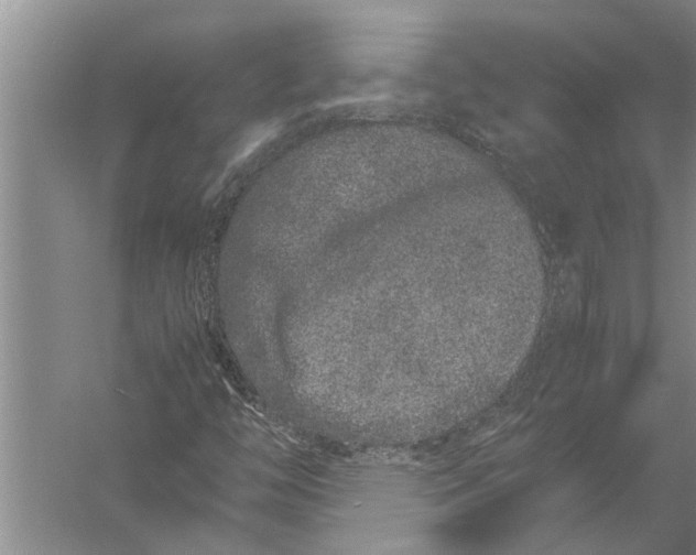 X0000057061446200510010055