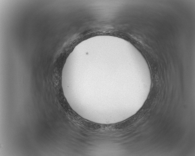 X0000057061447200510010055