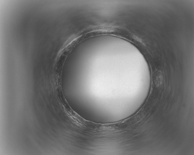 X0000057061448200510010055