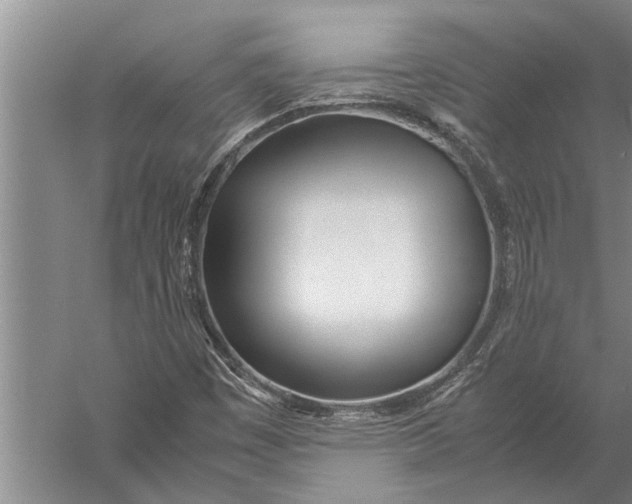 X0000057061449200510010055