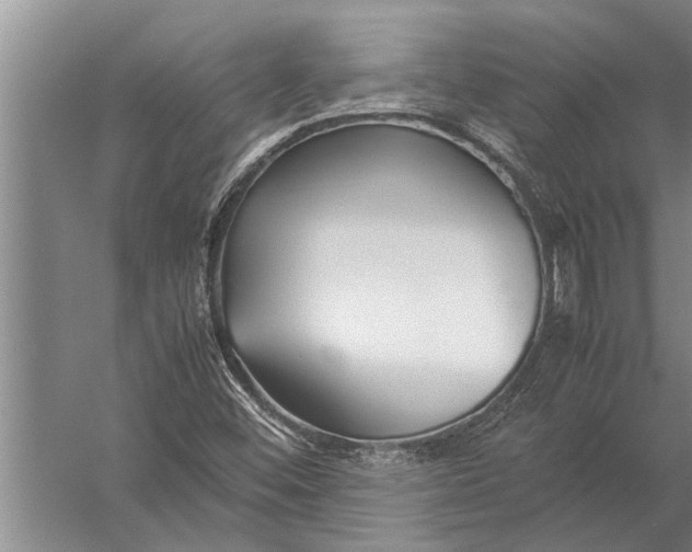 X0000057061452200510010055