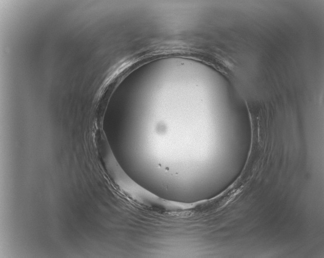 X0000057061453200510010055