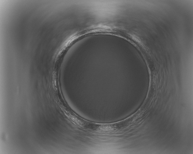 X0000057061455200510010055