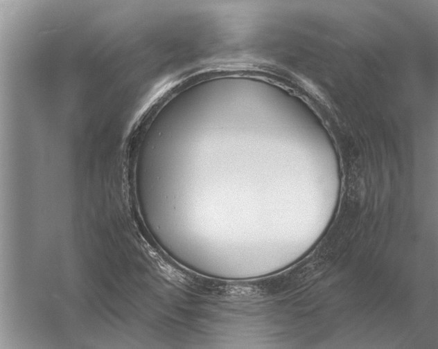 X0000057061456200510010055