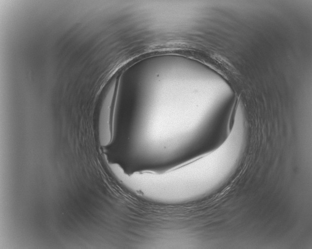 X0000057061457200510010055