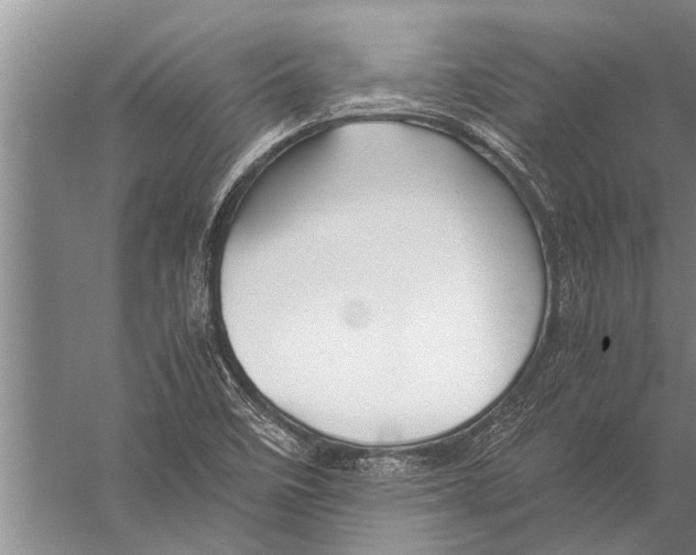 X0000057061458200510010055