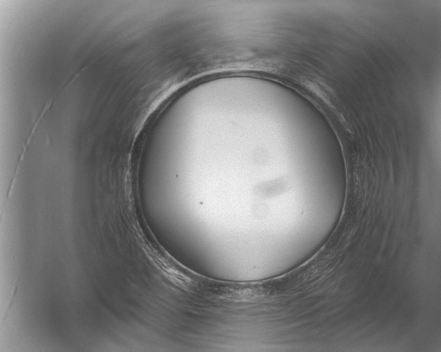 X0000057061460200510010055