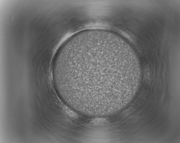 X0000057061462200510010055