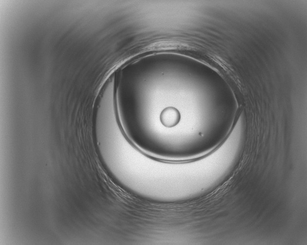 X0000057061465200510010054