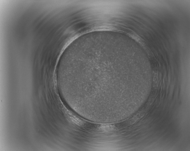 X0000057061466200510010054