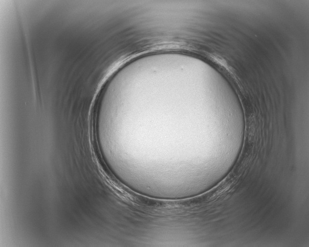 X0000057061467200510010054