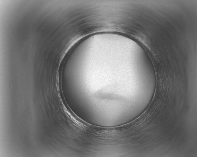 X0000057061468200510010054