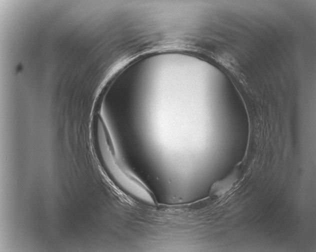 X0000057061469200510010054