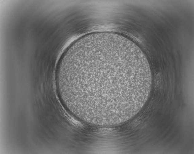 X0000057061470200510010054