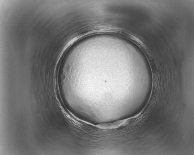 X0000057061471200510010054