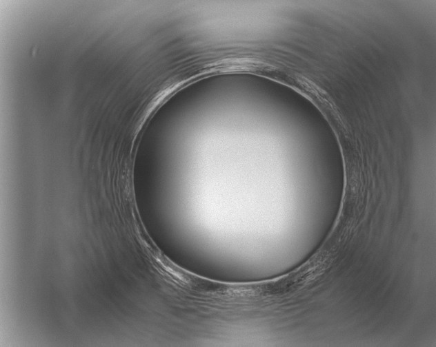 X0000057061473200510010054