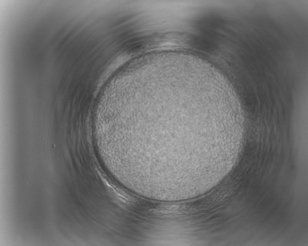 X0000057061474200510010054