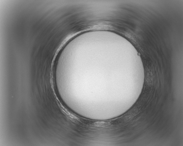 X0000057061478200510010054