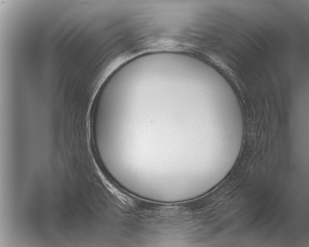 X0000057061479200510010054