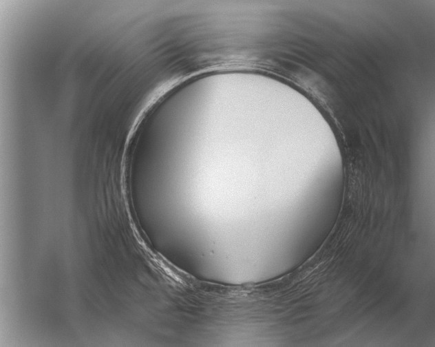 X0000057061480200510010054