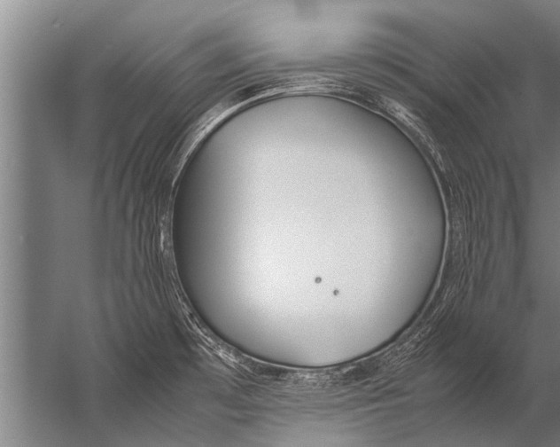 X0000057061481200510010054