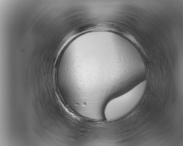 X0000057061484200510010054