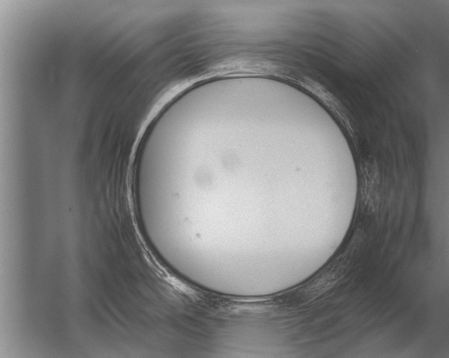 X0000057061486200510010054