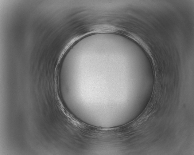 X0000057061488200510010054