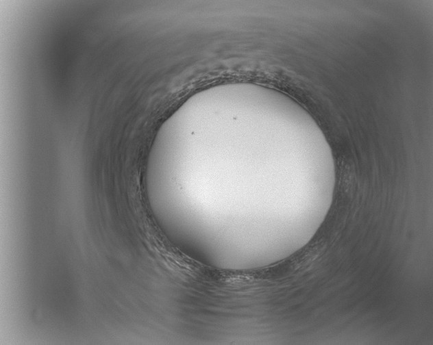 X0000057061489200510010053