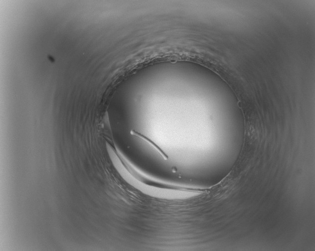 X0000057061490200510010053