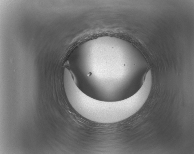 X0000057061492200510010053