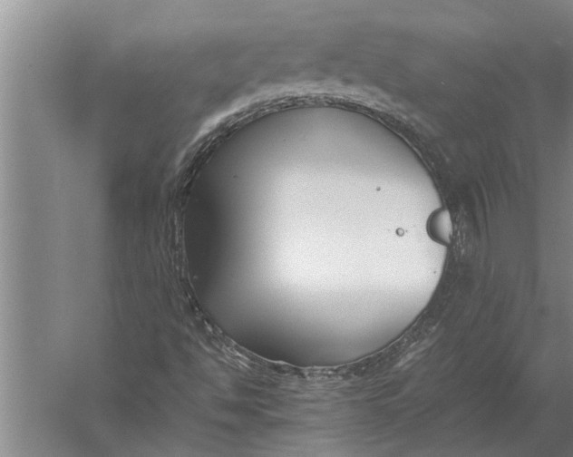 X0000057061494200510010053