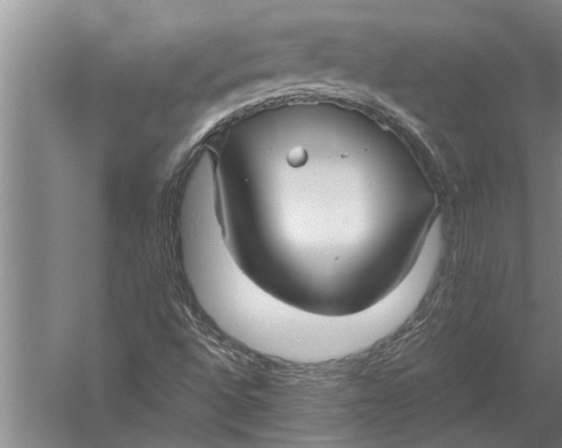 X0000057061496200510010053