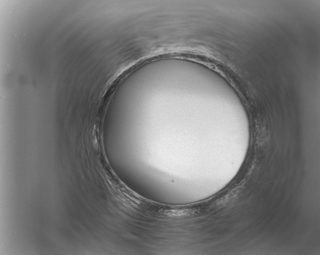 X0000057061497200510010053