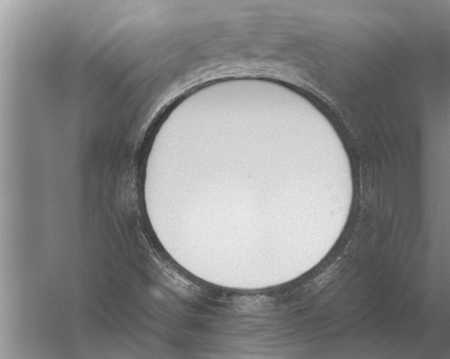 X0000057061498200510010053